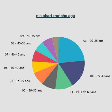 Business Intelligence PME et Data Visualisation